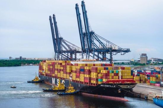 IT-ANÁLISIS: Puerto Lázaro Cárdenas incorpora servicio semanal de MSC hacia Asia